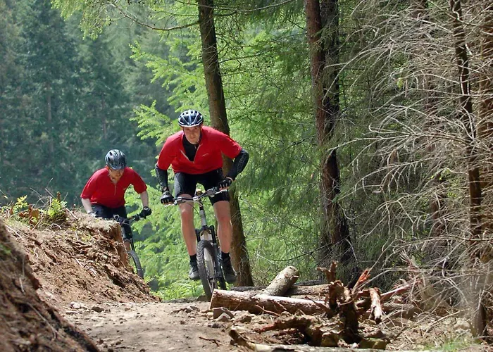 Nyaraló The Carrs *